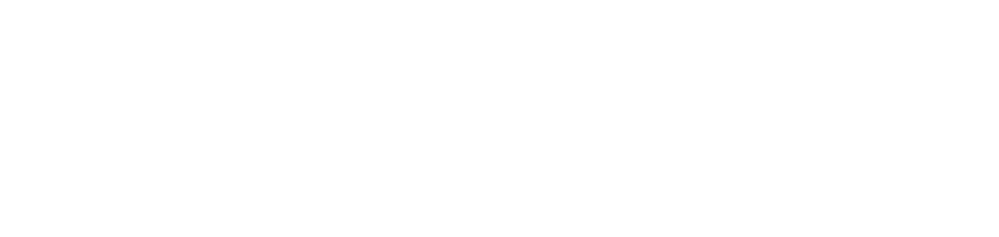 UN Foundation